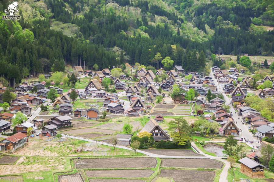 日本合掌村 日本旅遊 日本世界遺產-1015.jpg
