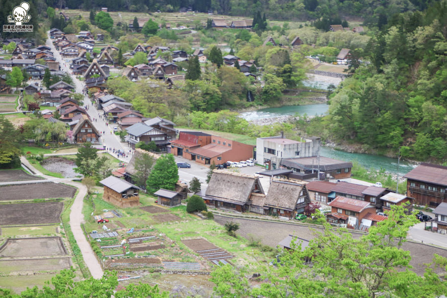 日本合掌村 日本旅遊 日本世界遺產-1018.jpg