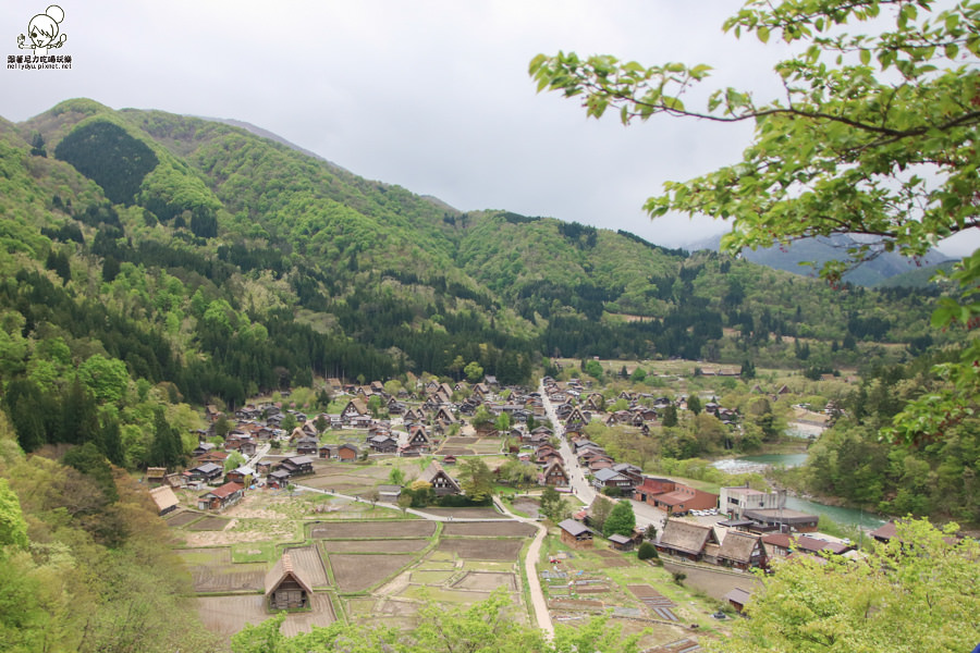 日本合掌村 日本旅遊 日本世界遺產-1025.jpg