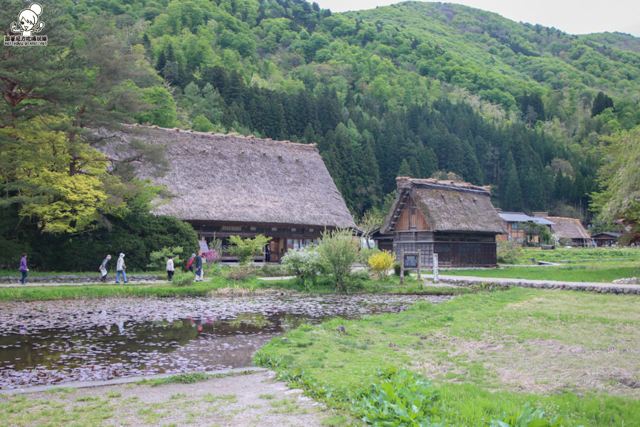 日本合掌村 日本旅遊 日本世界遺產-1031.jpg