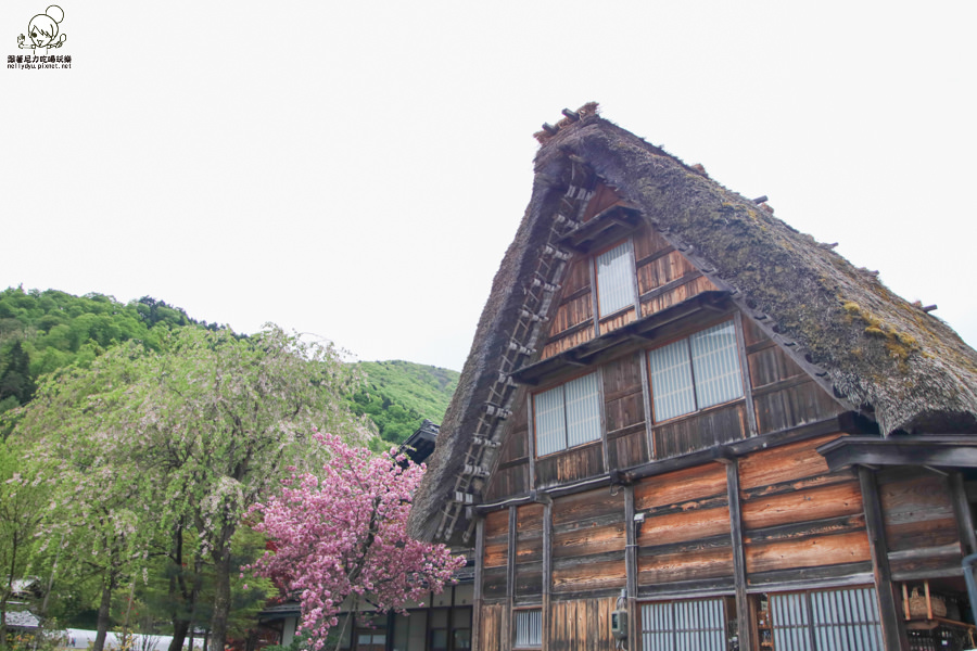 日本合掌村 日本旅遊 日本世界遺產-1034.jpg