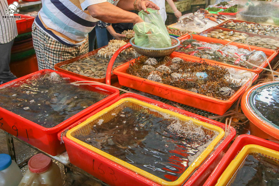 來東港華僑市場 一定要吃黑鮪魚生魚片 旗魚黑輪 買海鮮 跟著尼力吃喝玩樂 親子生活