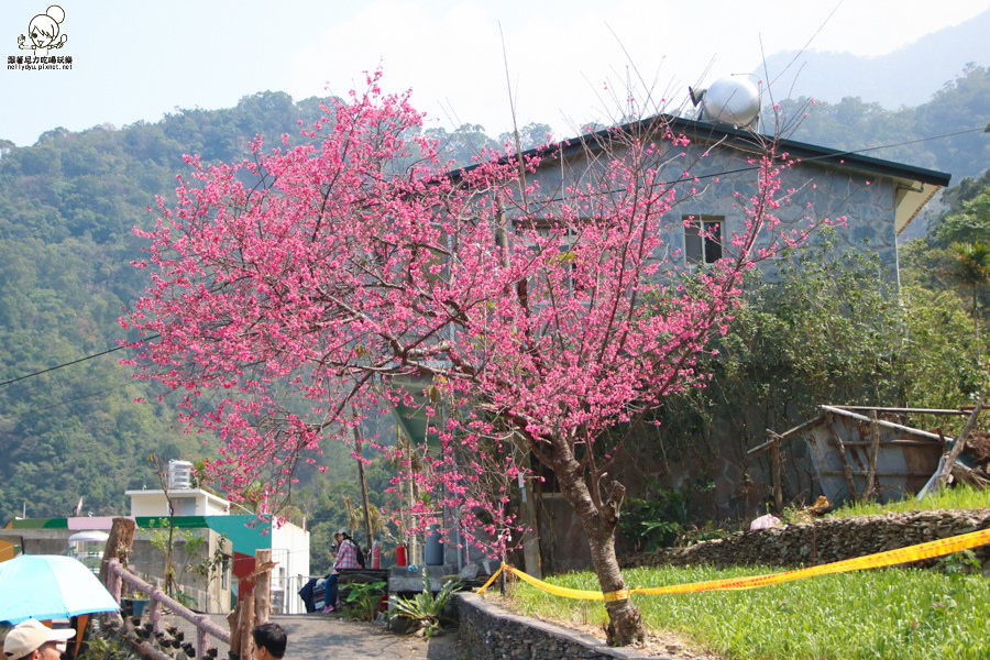 霧台 南島族群婚禮 (39 - 51).jpg