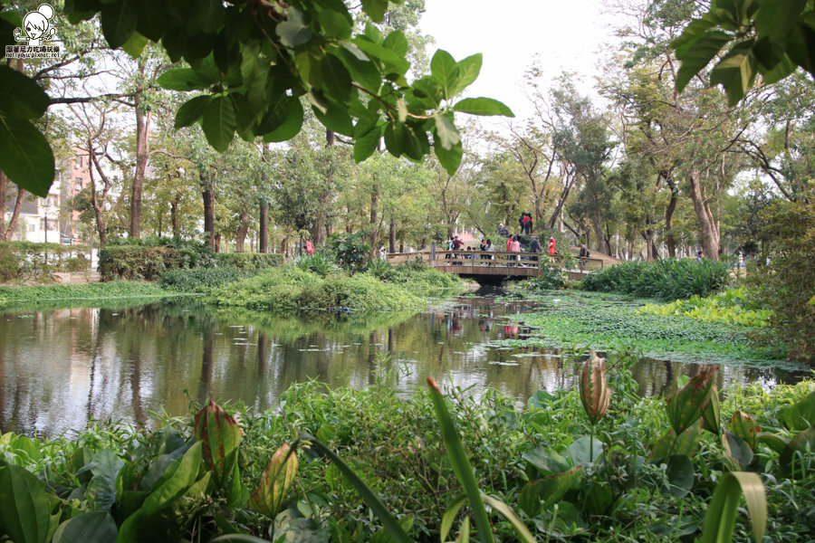 高雄旅遊 高雄景點 大東溼地公園  (36 - 38).jpg