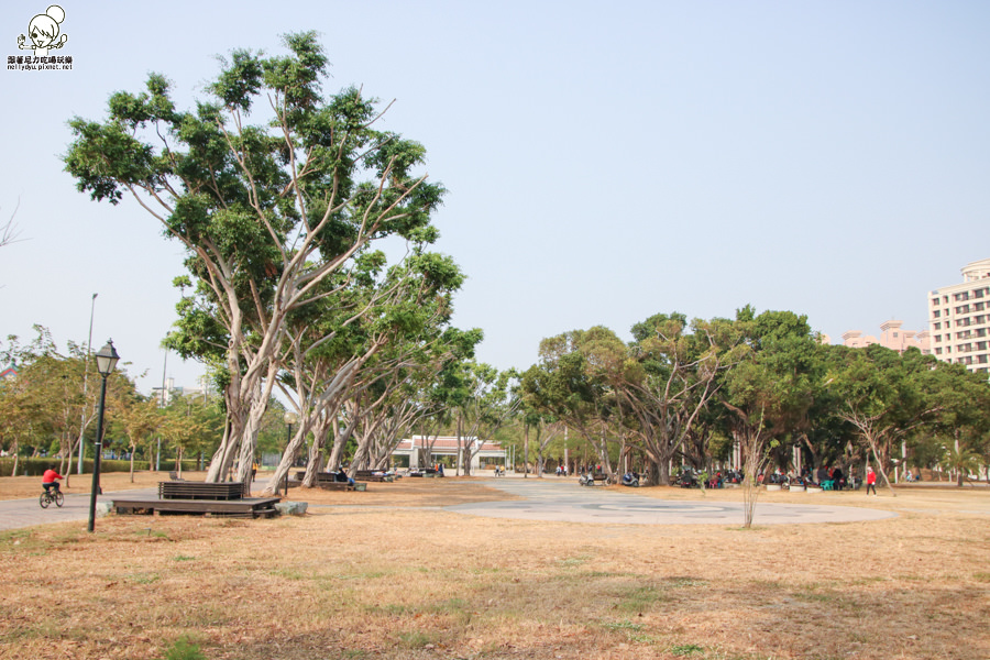 高雄旅遊 高雄景點 大東溼地公園  (2 - 38).jpg