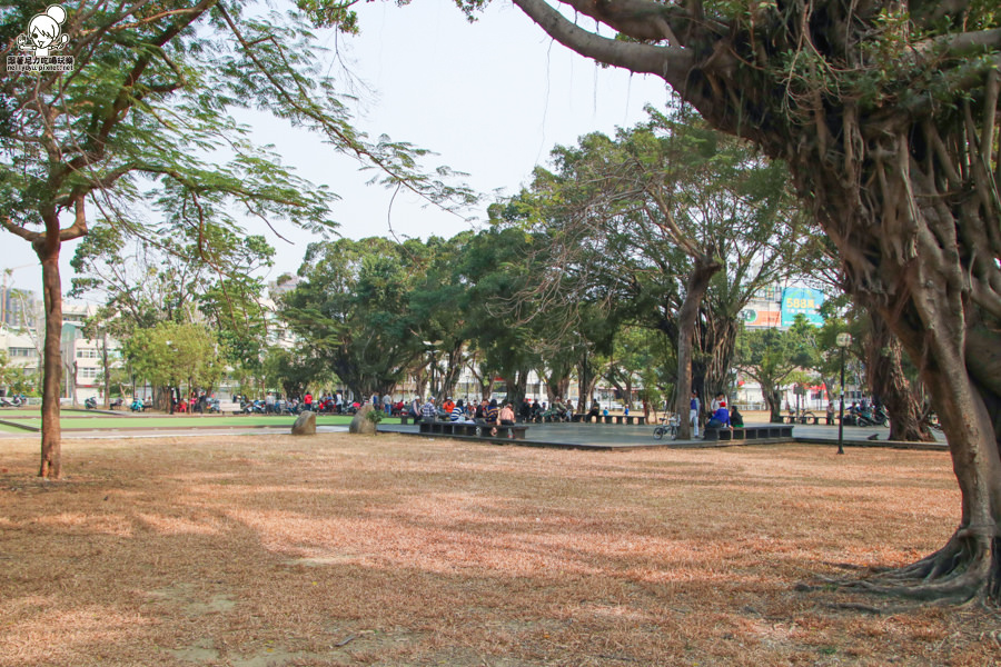 高雄旅遊 高雄景點 大東溼地公園  (4 - 38).jpg