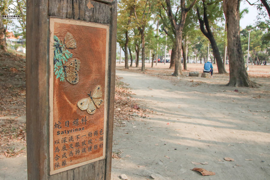 高雄旅遊 高雄景點 大東溼地公園  (8 - 38).jpg