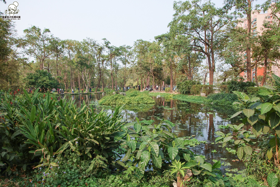 高雄旅遊 高雄景點 大東溼地公園  (9 - 38).jpg