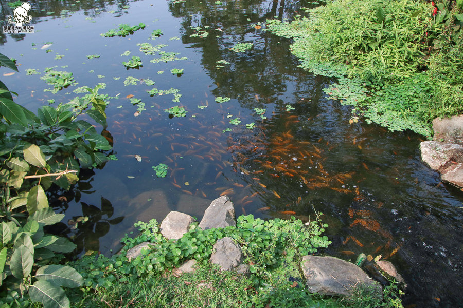 高雄旅遊 高雄景點 大東溼地公園  (11 - 38).jpg