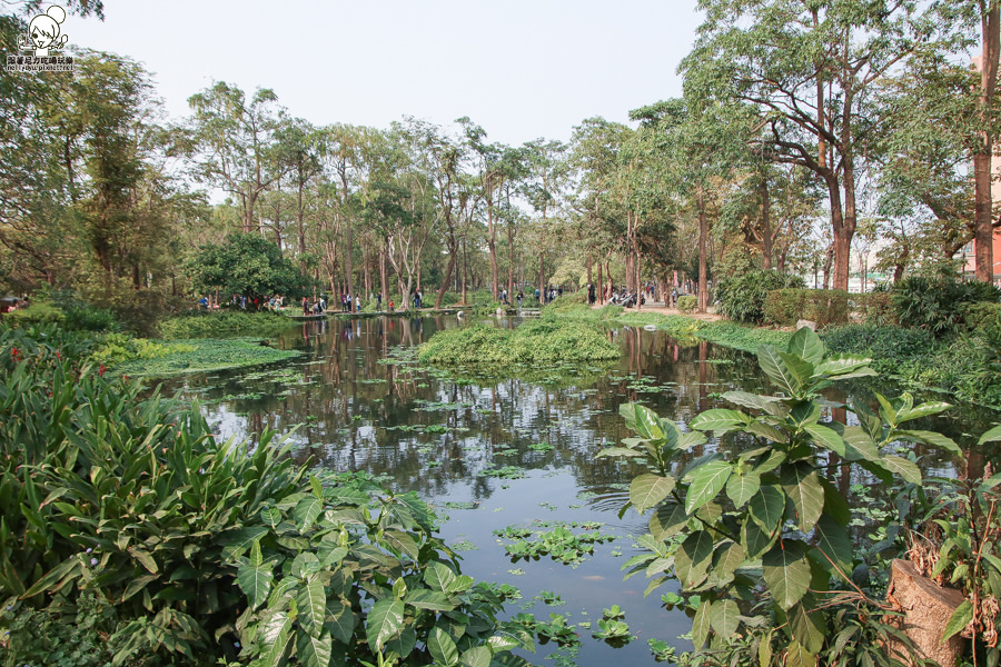 高雄旅遊 高雄景點 大東溼地公園  (10 - 38).jpg