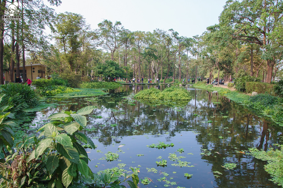 高雄旅遊 高雄景點 大東溼地公園  (12 - 38).jpg