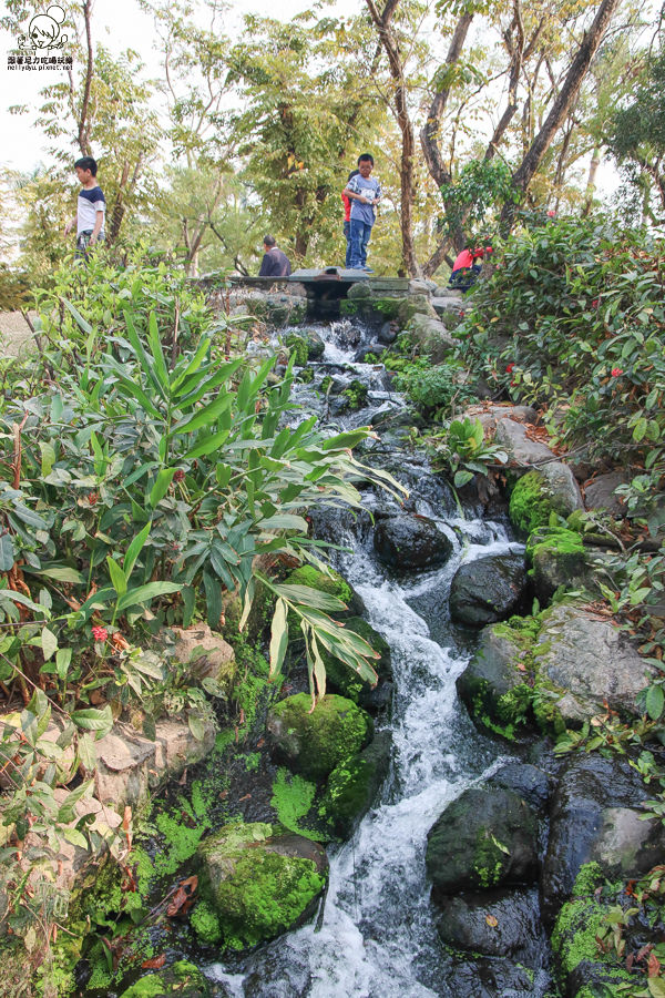 高雄旅遊 高雄景點 大東溼地公園  (13 - 38).jpg