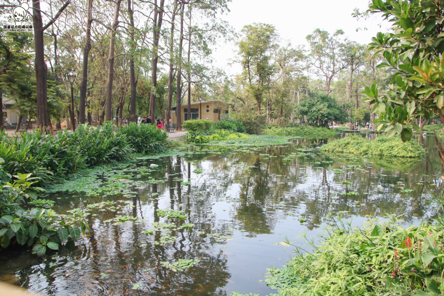 高雄旅遊 高雄景點 大東溼地公園  (14 - 38).jpg