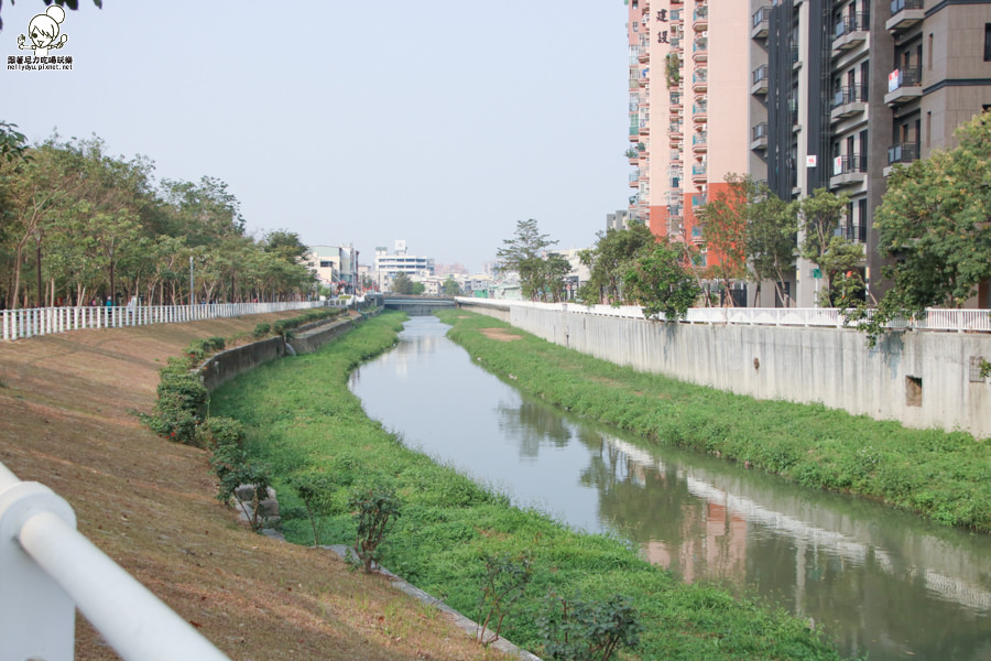 高雄旅遊 高雄景點 大東溼地公園  (17 - 38).jpg