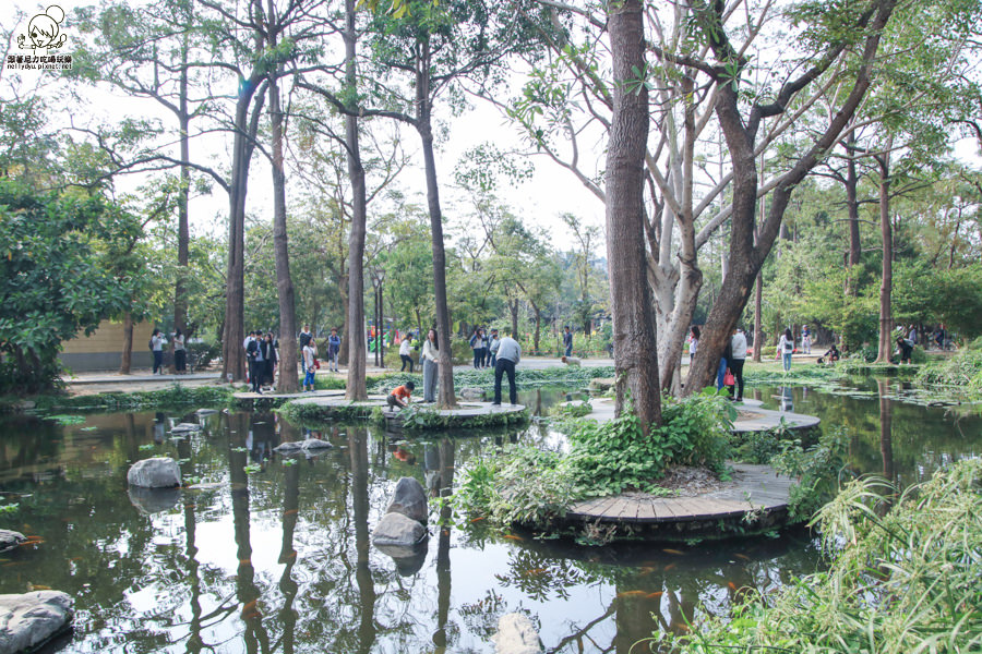 高雄旅遊 高雄景點 大東溼地公園  (21 - 38).jpg