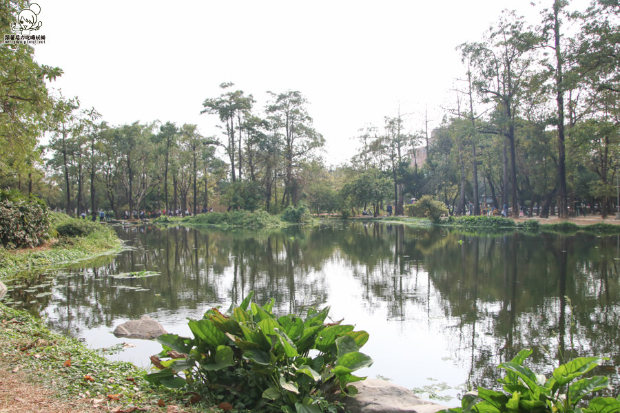 高雄旅遊 高雄景點 大東溼地公園  (23 - 38).jpg