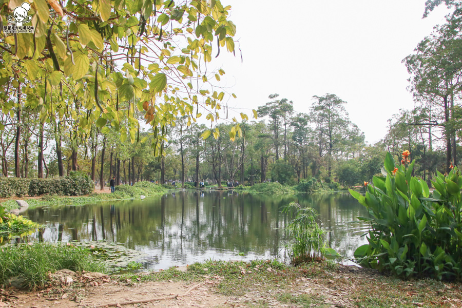 高雄旅遊 高雄景點 大東溼地公園  (25 - 38).jpg