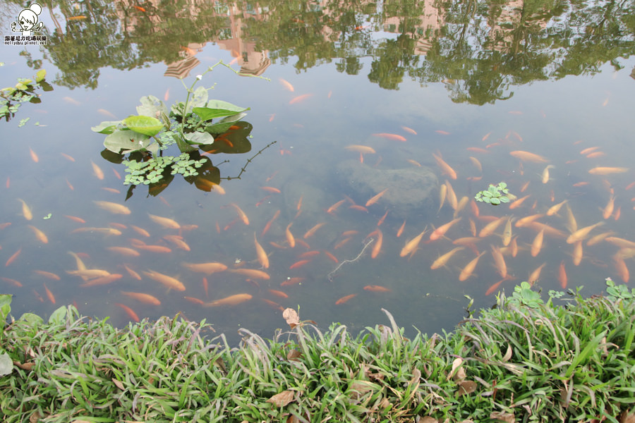 高雄旅遊 高雄景點 大東溼地公園  (27 - 38).jpg