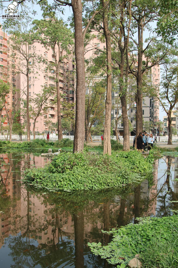 高雄旅遊 高雄景點 大東溼地公園  (30 - 38).jpg