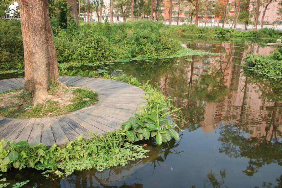 高雄旅遊 高雄景點 大東溼地公園  (31 - 38).jpg