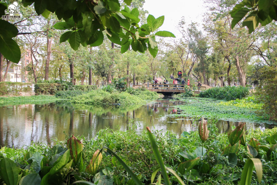 高雄旅遊 高雄景點 大東溼地公園  (35 - 38).jpg