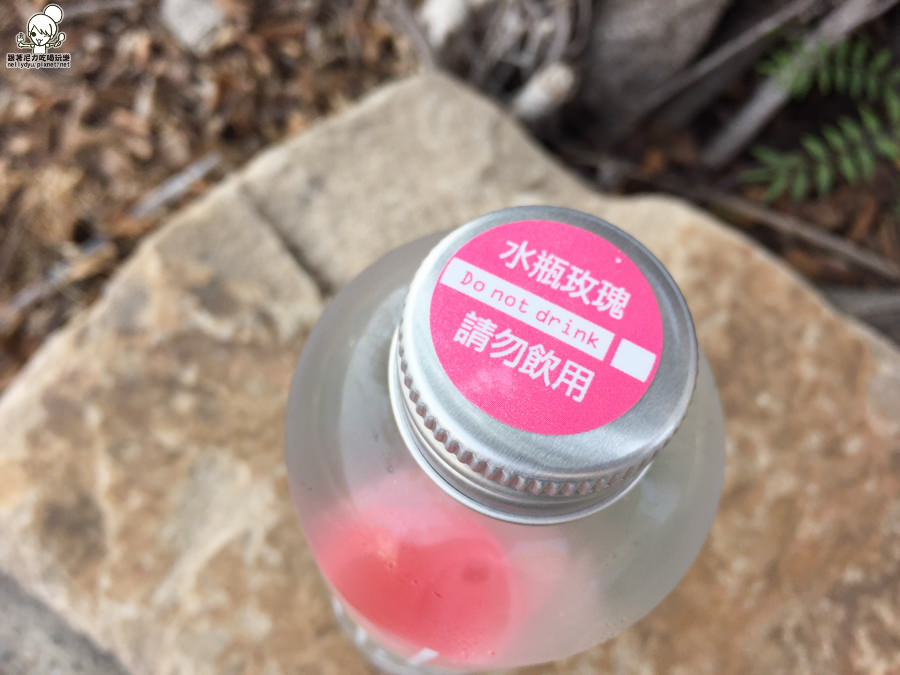 玫瑰水 玫瑰 販賣機 超夯 情人節 (9 - 15).jpg