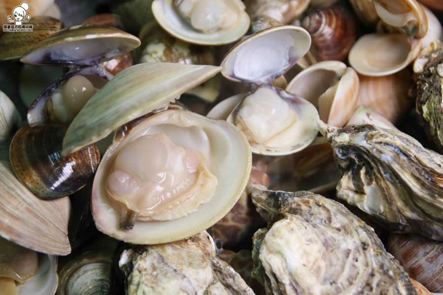 蒸品鮮汕頭沙茶爐 蒸鍋 海鮮 新鮮 高雄美食 (35 - 60).jpg