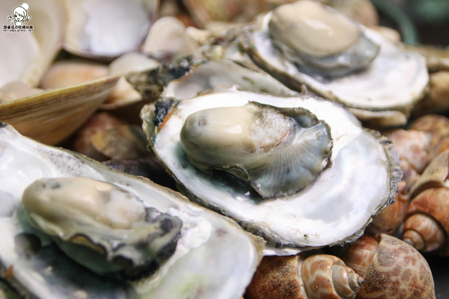 蒸品鮮汕頭沙茶爐 蒸鍋 海鮮 新鮮 高雄美食 (44 - 60).jpg