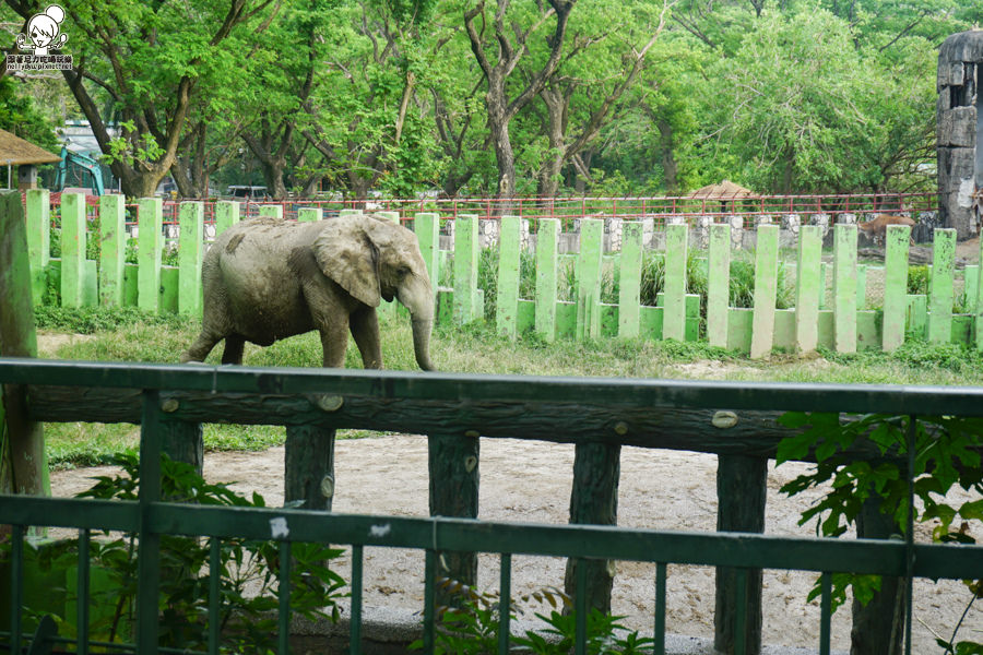 壽山動物園 (30 - 40).jpg