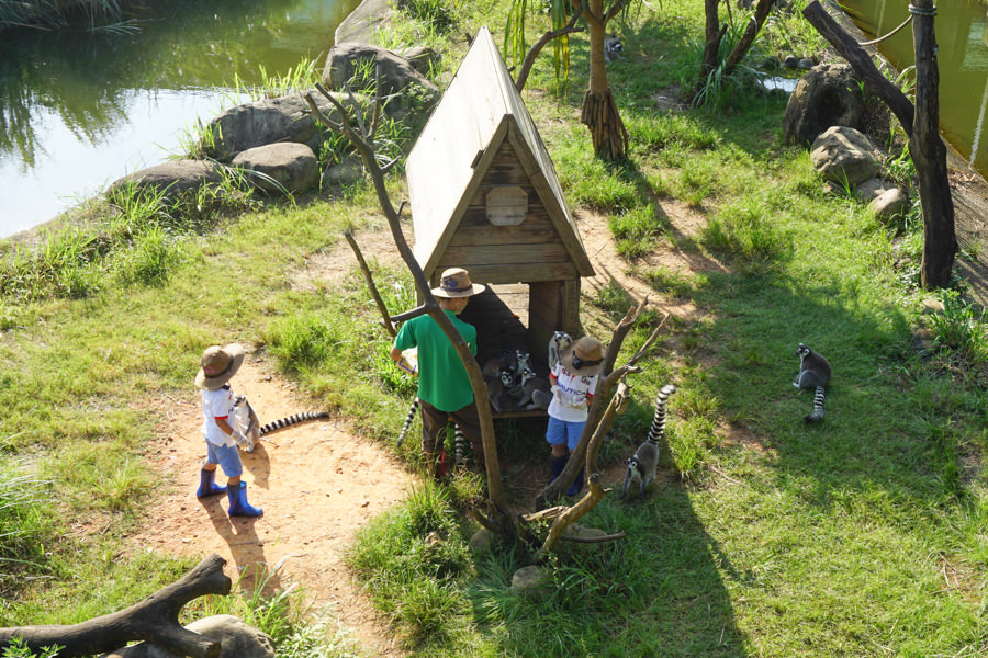 六福莊 六福村 野生動物 非洲 親子旅遊 親子住宿 (15 - 70).jpg