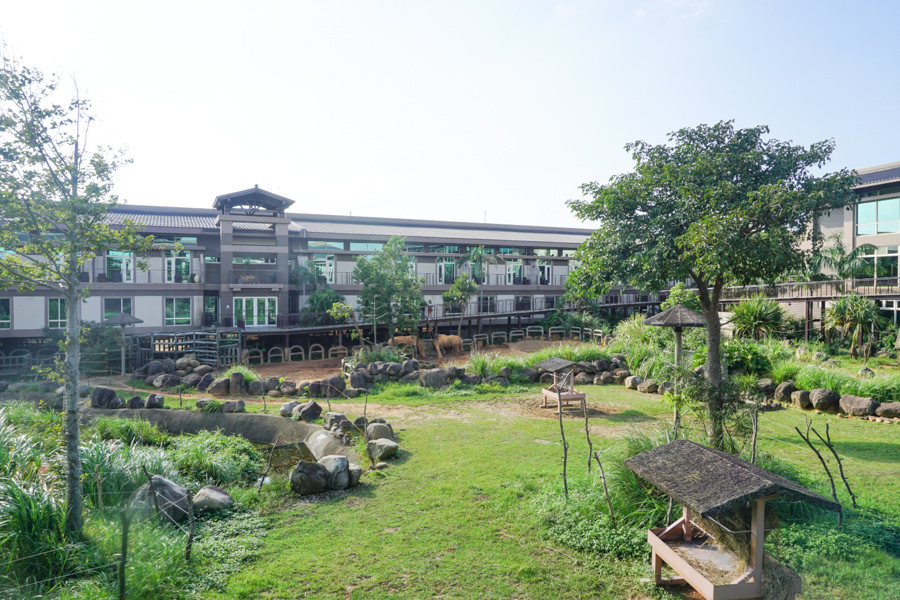 六福莊 六福村 野生動物 非洲 親子旅遊 親子住宿 (14 - 70).jpg