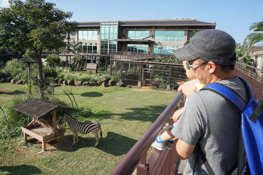 六福莊 六福村 野生動物 非洲 親子旅遊 親子住宿 (22 - 70).jpg