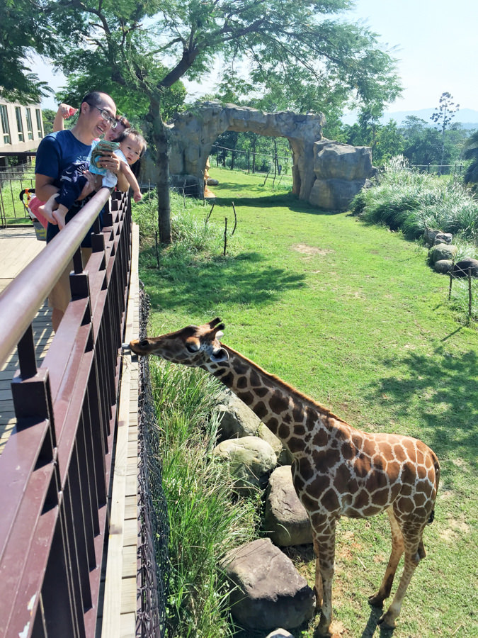 六福莊 六福村 野生動物 非洲 親子旅遊 親子住宿2 (1 - 6).jpg