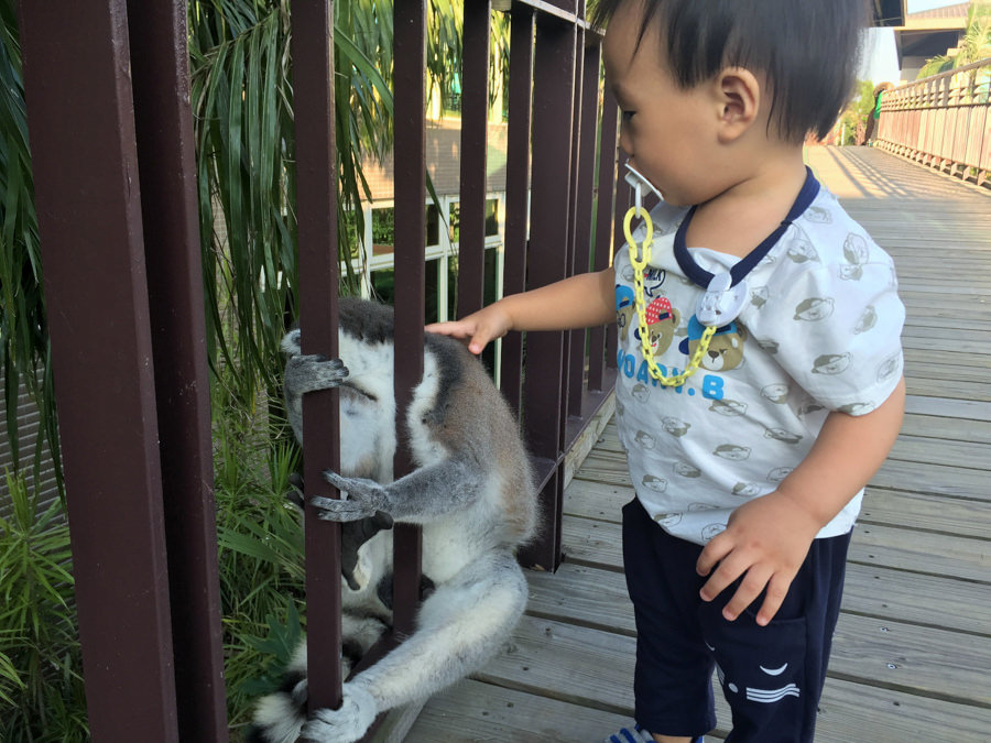 六福莊 六福村 野生動物 非洲 親子旅遊 親子住宿2 (4 - 6).jpg