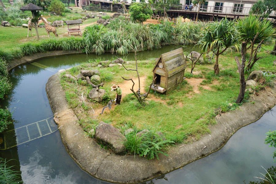 六福莊 六福村 野生動物 非洲 親子旅遊 親子住宿 (56 - 70).jpg