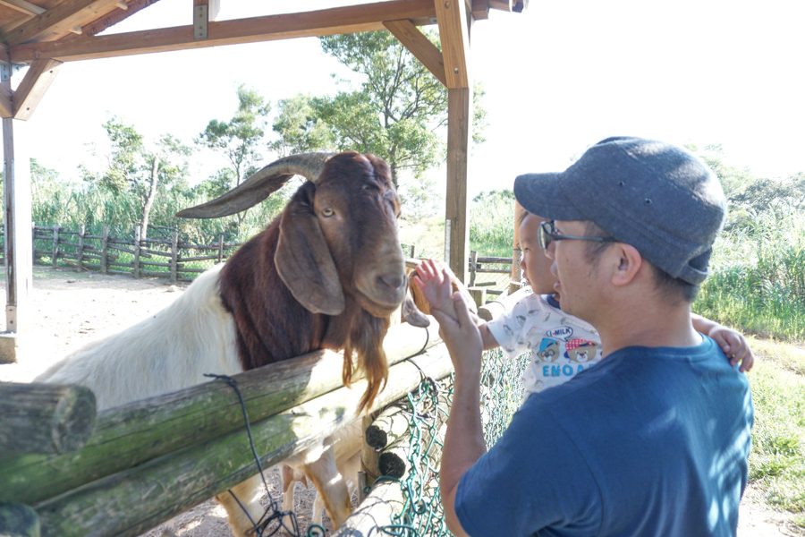 六福莊 六福村 野生動物 非洲 親子旅遊 親子住宿 (59 - 70).jpg