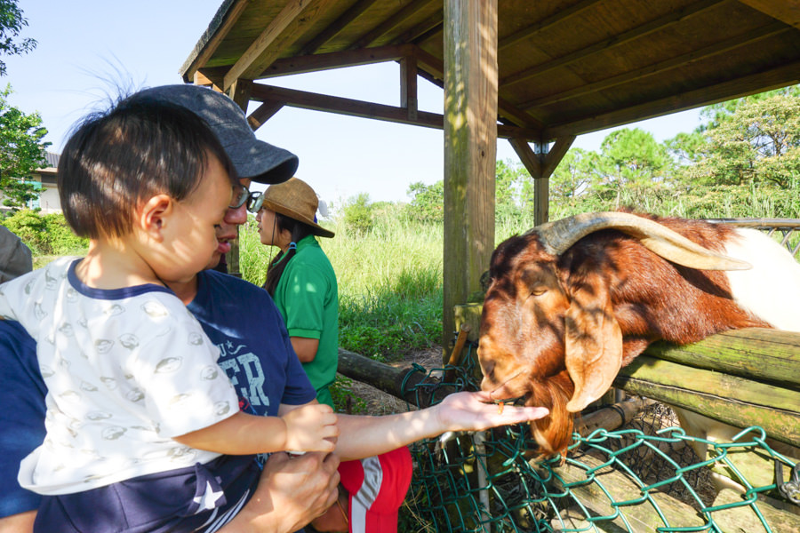 六福莊 六福村 野生動物 非洲 親子旅遊 親子住宿 (62 - 70).jpg