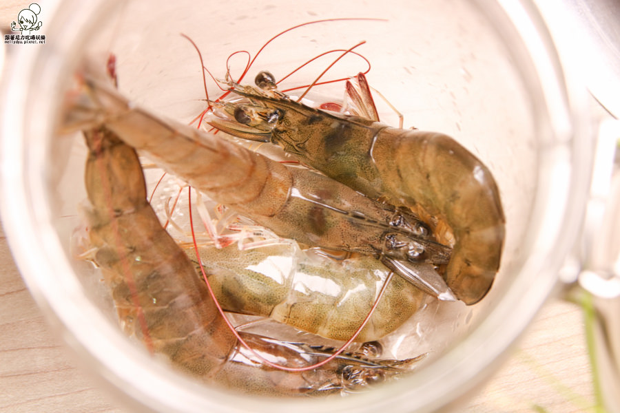 高雄火鍋 咕咚鼎 養生火鍋 新鮮海鮮 (5 - 6).jpg