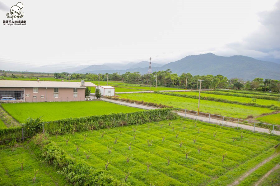 花蓮山海趣田園親子民宿 (16 - 37).jpg