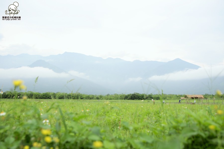 大農大富平地森林園區 (22 - 33).jpg