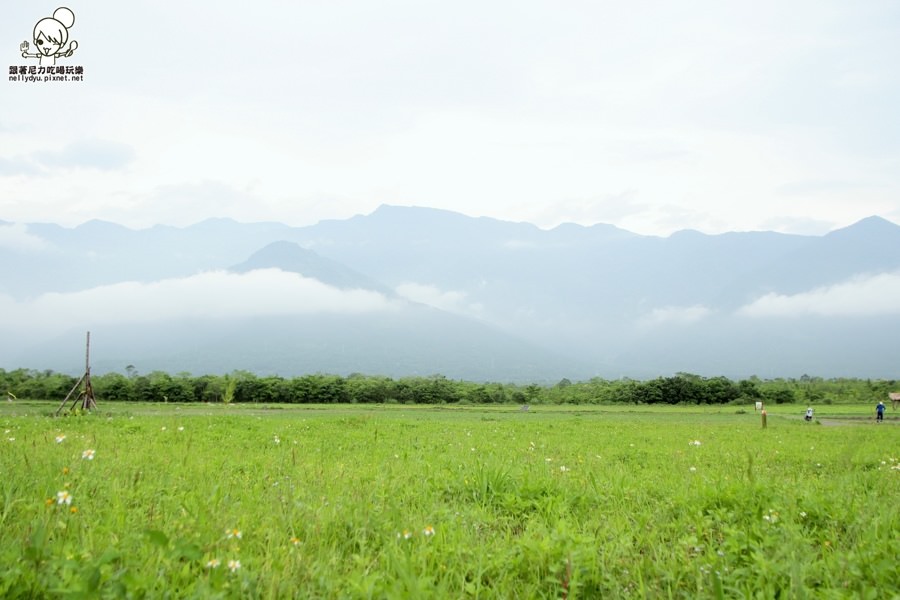 大農大富平地森林園區 (21 - 33).jpg