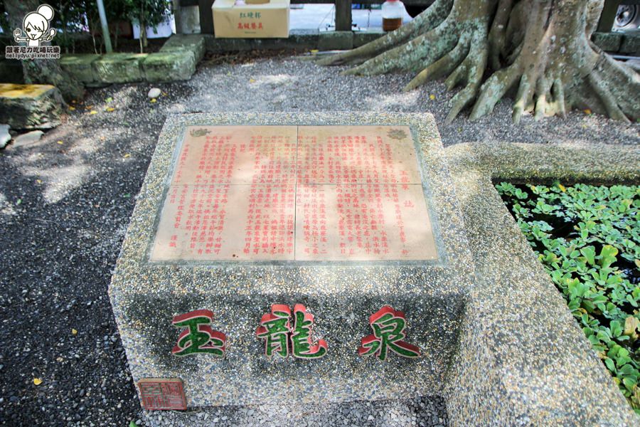 玉龍泉生態步道 (2 - 40).jpg