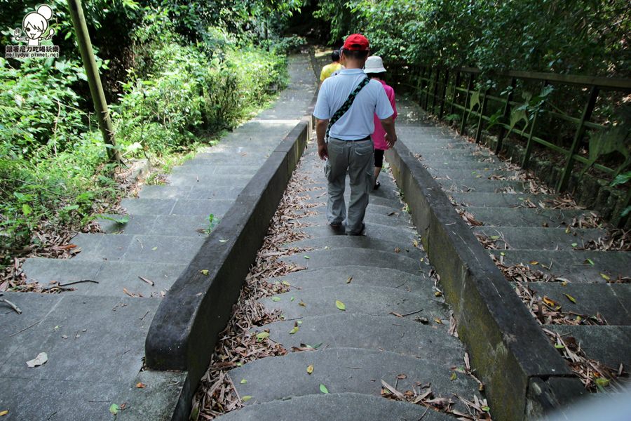 玉龍泉生態步道 (13 - 40).jpg