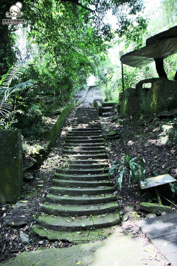 玉龍泉生態步道 (17 - 40).jpg