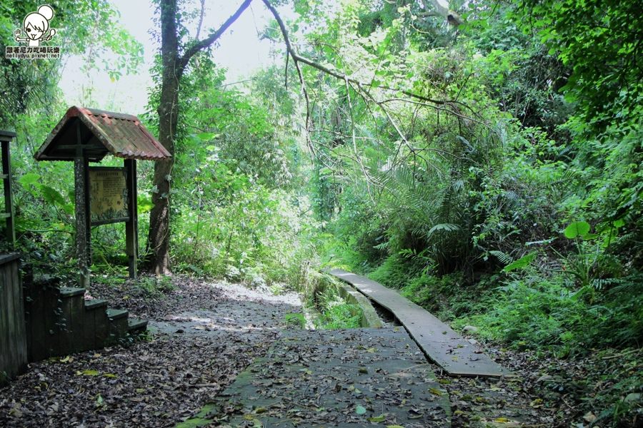 玉龍泉生態步道 (20 - 40).jpg