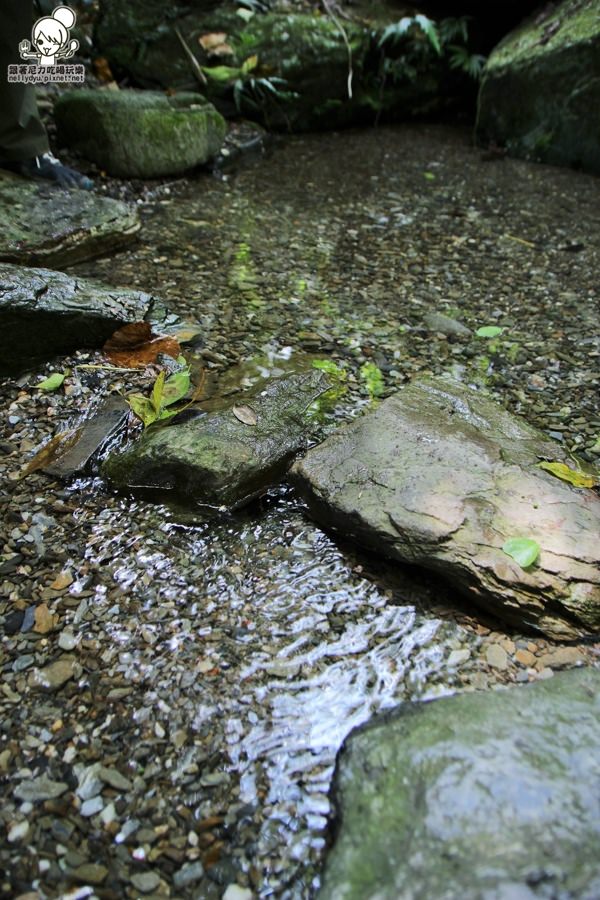 玉龍泉生態步道 (19 - 40).jpg