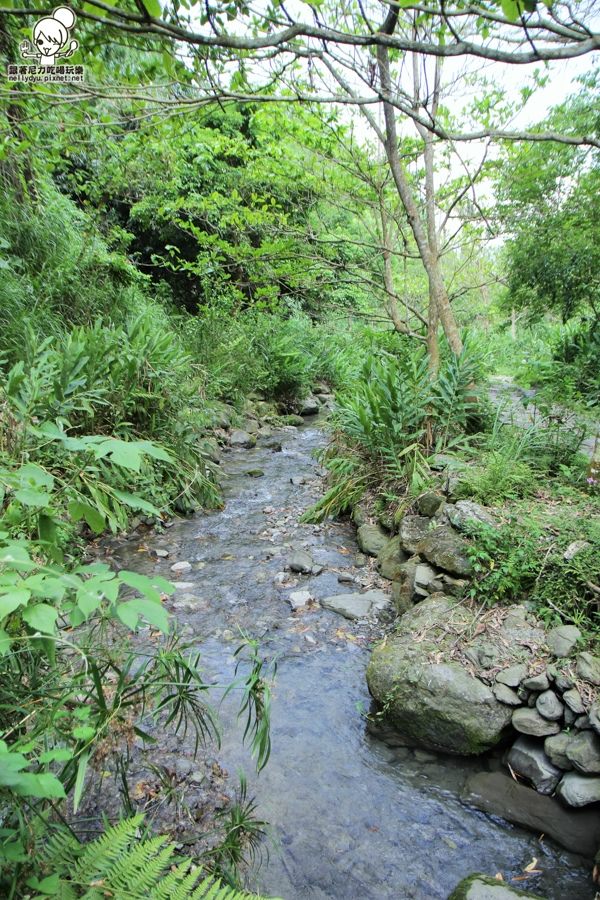 玉龍泉生態步道 (22 - 40).jpg