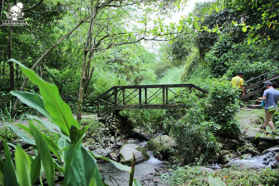 玉龍泉生態步道 (39 - 40).jpg