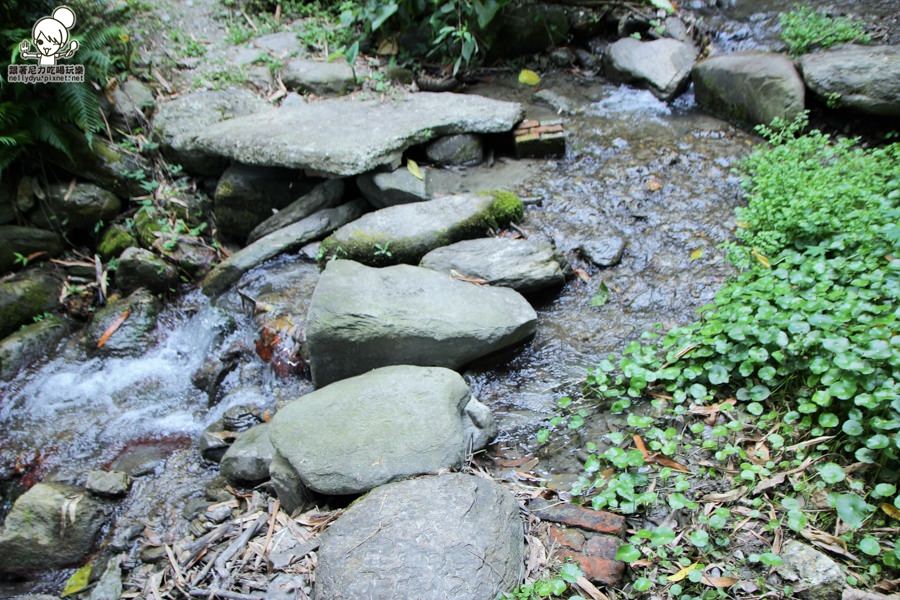 玉龍泉生態步道 (40 - 40).jpg