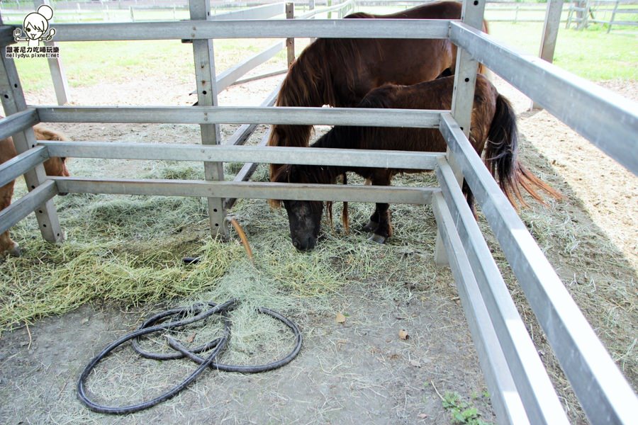 花蓮瑞穗吉蒸牧場 (13 - 19).jpg